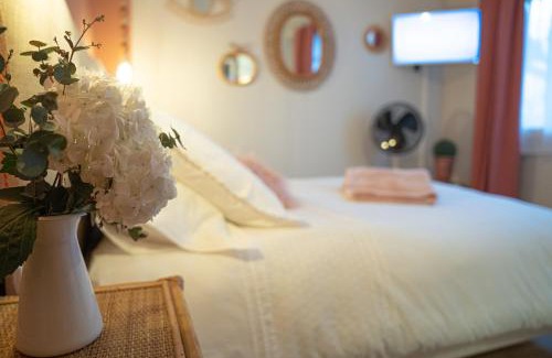 Albi House | Le Rez de Jardin Albi