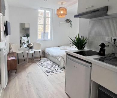 Toulouse City-Centre Apartment | Le Saphir