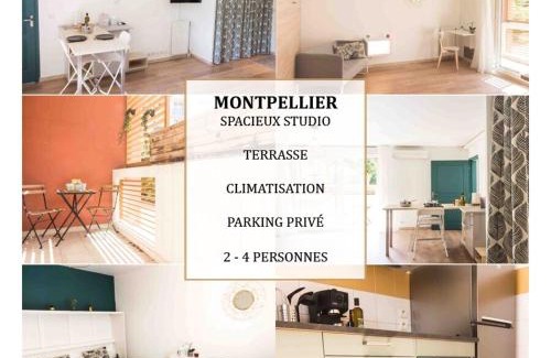 Estanove Apartment | Le Tropisme - Terrasse en centre ville