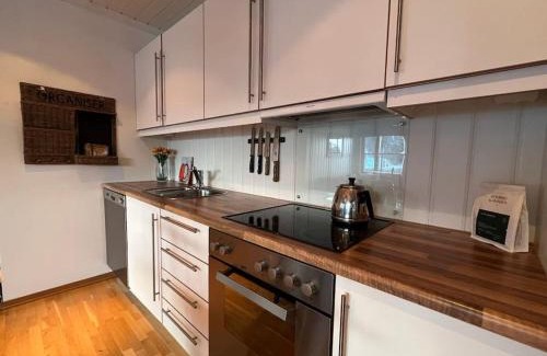 Nore og Uvdal Apartment | Leilighet i Uvdal med nydelig utsikt