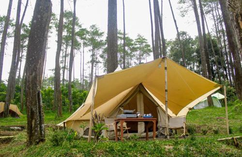 Cikole Other | Lembah Pinus Cikole