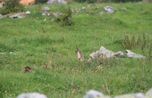 Arc-1800 Apartment | Les Arcs 1800 Ruitor