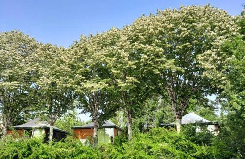 Rabastens Other | Les Auzerals camping du lac