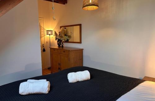 Lanvallay Apartment | Les Libellules Appartement avec baignoire spa à Lanvallay