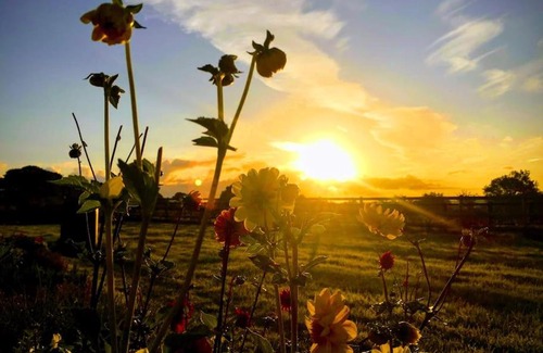 Winsham Apartment | Liberty Lodge