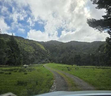 Lower Hutt House | Lifestyle farm stay retreat near CBD