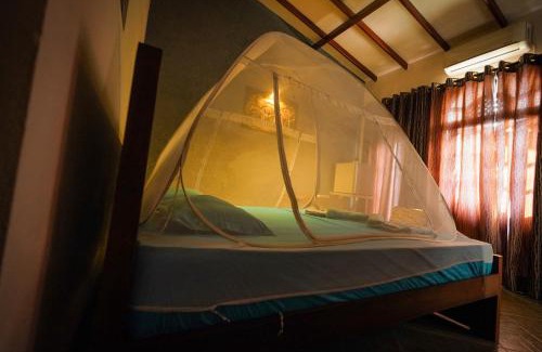 Negombo House | Lilly Palace Villa Guest House