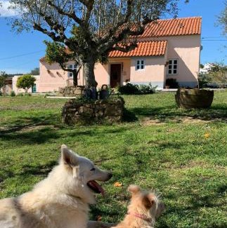 Envendos House | Linhal das Meias - São José das Matas