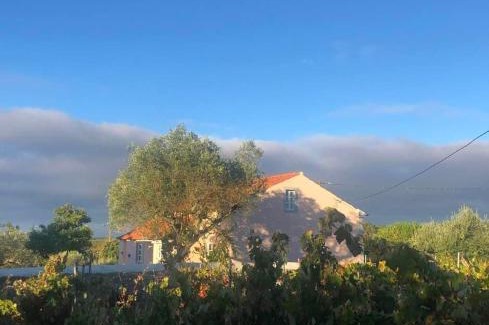 Envendos House | Linhal das Meias - São José das Matas