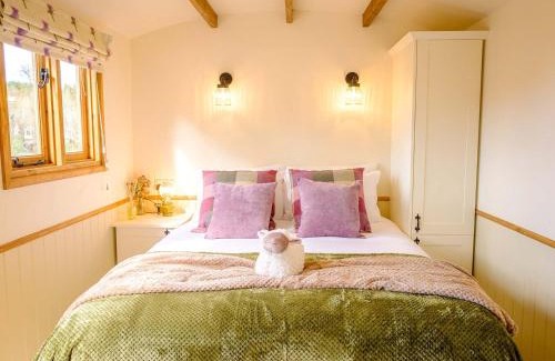 Mauchline Apartment | Lintmill Lodges - Thistle Shepherds Hut