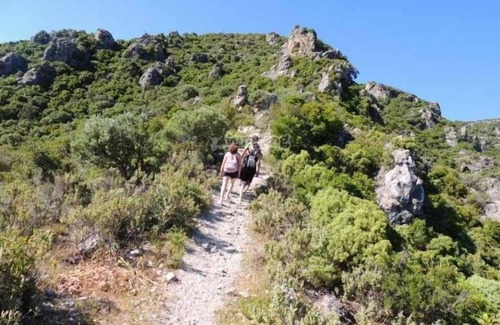 Pruna House | Live Casa Rural La Fábrica OLVERA, GREAT SWIMMING POOL