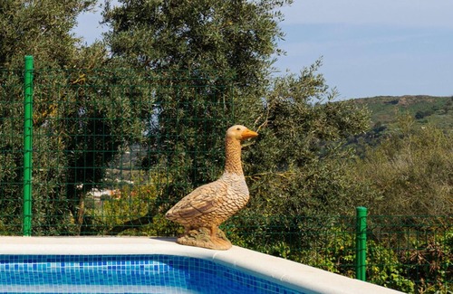 Santa Brigida Apartment | LIVE FINCA GAMONAL BJ