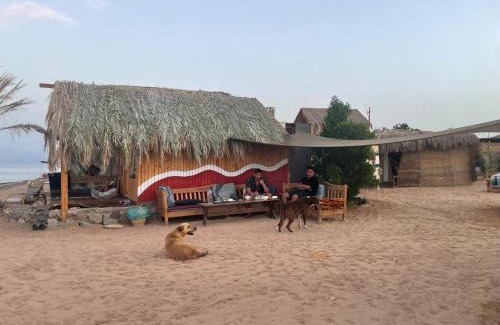 Nuweiba Other | Live the bedouinlife