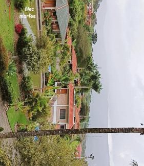 Cuenca Cabin | Live the life