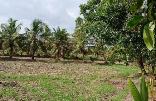 Kimbulapitiya House | Livera airport vila