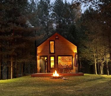 Vilnius County House | Local Forest