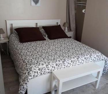 Selles-sur-Cher House | Location BALNEO DUO près zoo de Beauval