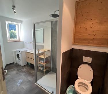 Saint-Maurice-sur-Moselle Apartment | Loft 5 personnes type chalet avec jardin