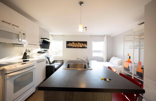 Rouyn-Noranda Apartment | Loft on the rue Principale (Le Chic-urbain)