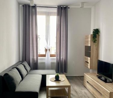 Konin Apartment | Loftson Apartament