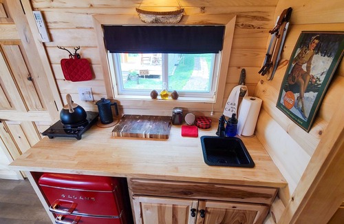 Lakeside Apartment | Log Cabin - Tiny Digs Lakeshore
