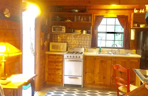 Ellijay Cabin | Log! Tiny home.Pond view.Owner built.Old growth secluded woods yet near town.