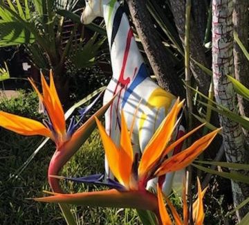 Carnoules Apartment | logement de charme avec jacuzzi