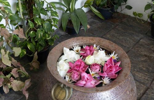 Mount Lavinia Villa | Lotus Villa Dehiwela