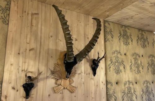 Reith bei Seefeld Apartment | LOU Chalet Apartment Luis