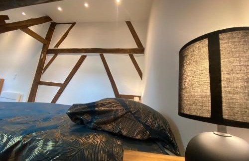 Bourges Apartment | Love Room avec Jacuzzi en plein centre ville