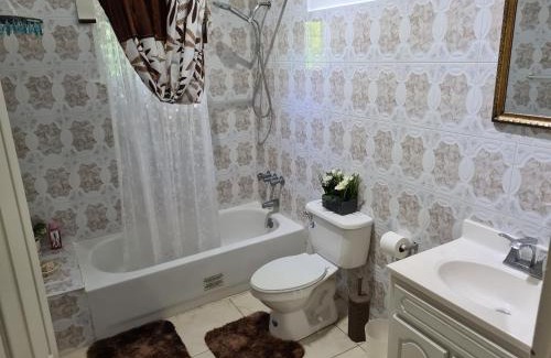 IronShore Estates Apartment | Lovely 1-Bed in Montego Bay-Rose View Apartment