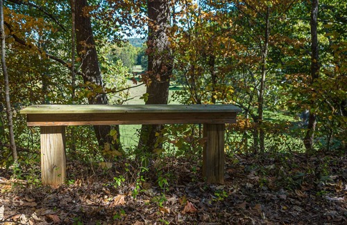 Rockbridge Baths House | Lovely Gardens with lots of solitude. Inground pool. Minutes to Lexington VA.