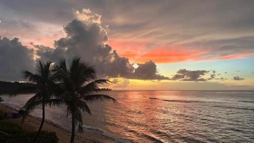 Isabela Apartment | LoveShack Villa in Shacks Beach, Isabela