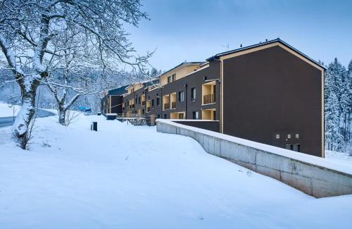 Cerny Dul Apartment | Luční apartmán Jurajda