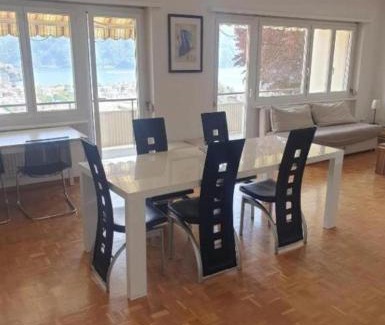 Massagno Apartment | Lugano LakeView Apartment 75