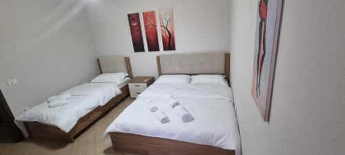 Berat Apartment | Luis Penthouse