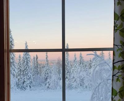 Syote Apartment | LuppoSyöte