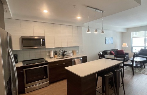Pentagon City Apartment | Luxurious Fully Furnished Move-In-Ready in Luxurious Apartment