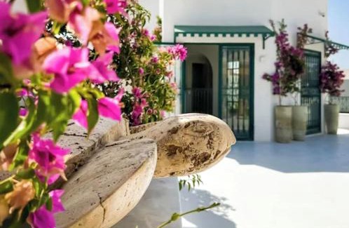 Medina of Tunis House | Luxurious Tunisian Holiday House with Full Access for Wheelchairs