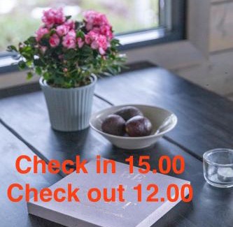 Vaajakoski Villa | Luxury guesthouse, beachfront sauna