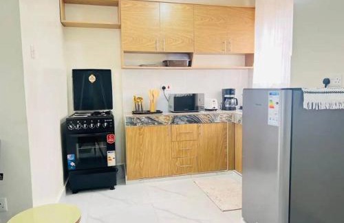 Central Kampala Apartment | Luxury Homes 1BR Kololo