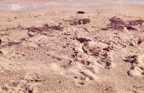 River Valley Ski Chalet | Luxury Lakefront Penthouse On Lake Obabika With Beaches And Campsites