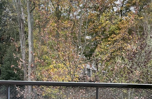 Louvres Apartment | Luxury studio, bright 10 minutes from Cdg, Parc d'asterix