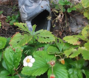 Plouha Bed & Breakfast | Méréhenc