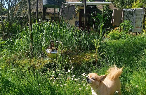 Villiers-sur-Seine Cottage | Magical Cottage with Garden