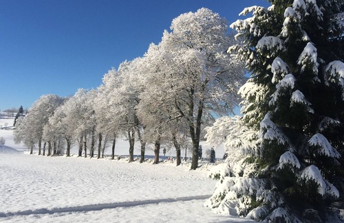 Les Hopitaux-Vieux House | MAGNIFICENT COMTOISE FARM IN AN EXCEPTIONAL PLACE, 4****, 12 PEOPLE