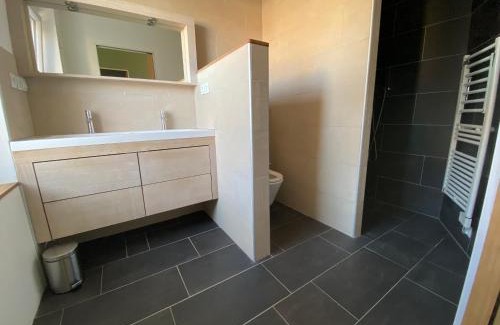 Saint-Nicolas-de-Port House | Maison de ville au bord de l’eau (3)