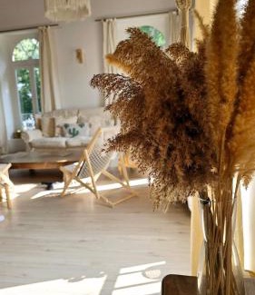 Tournon-sur-Rhone Apartment | Maison Essentielle