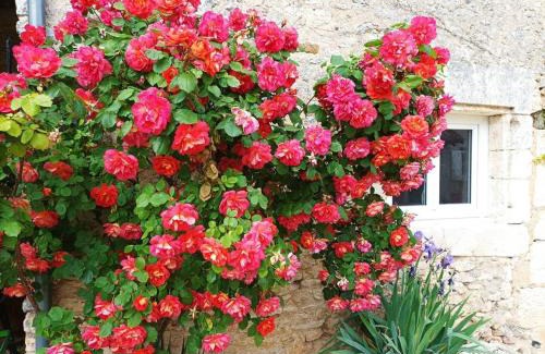 Avanton House | Maison Les Iris - 3 chambres et 3 salles de bain - 3 à 6 personnes - Futuroscope