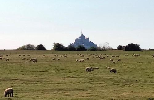 Courtils House | Maison MANTA